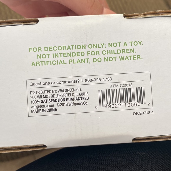 Garden Party Metal Wall Planter w/Succulent - Picture 11 of 12